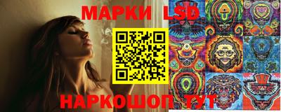 прущие грибы Ирбит
