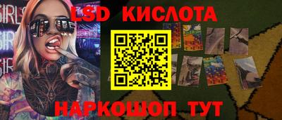 прущие грибы Ирбит