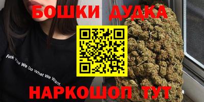 прущие грибы Ирбит