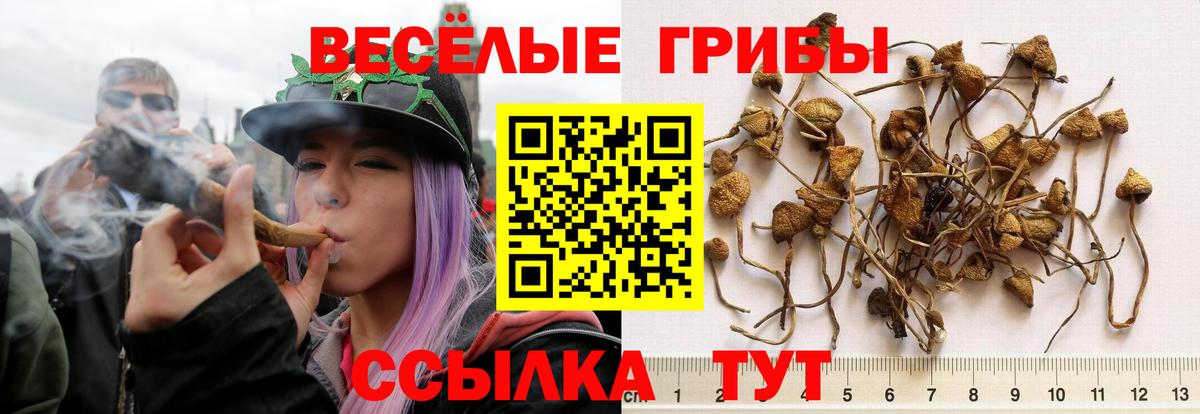 Псилоцибиновые грибы Magic Shrooms  Вход с VPN  Кыштым 
